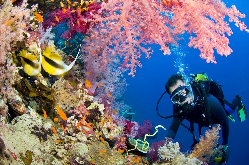 Scuba diving